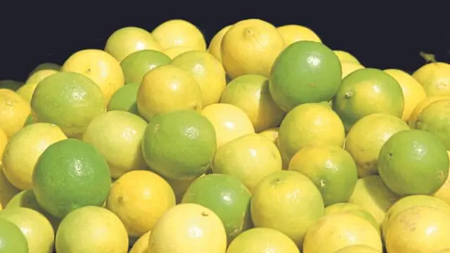 lemon