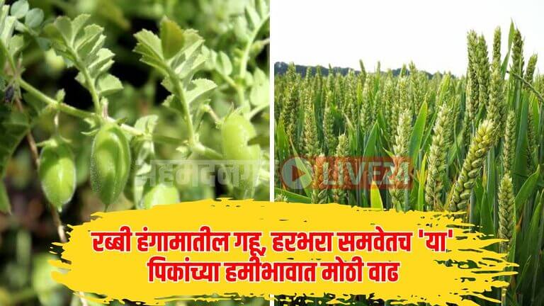 Agriculture News