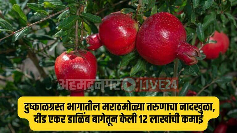 Farmer Success Story