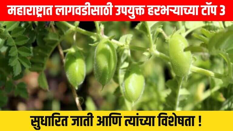 Harbhra Lagwad