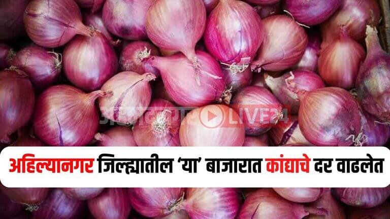 Ahilyanagar Onion Rate