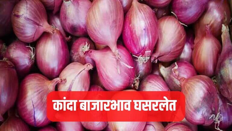 Onion News