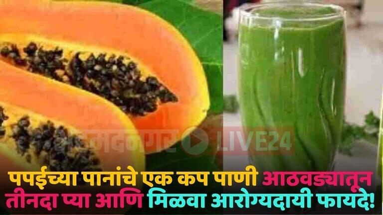 papaya water leaves