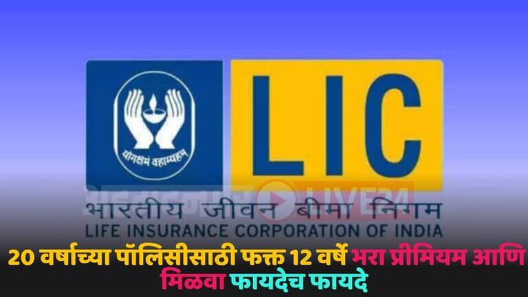 lic policy