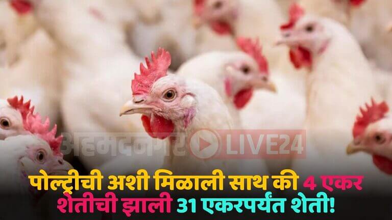 poultry farming