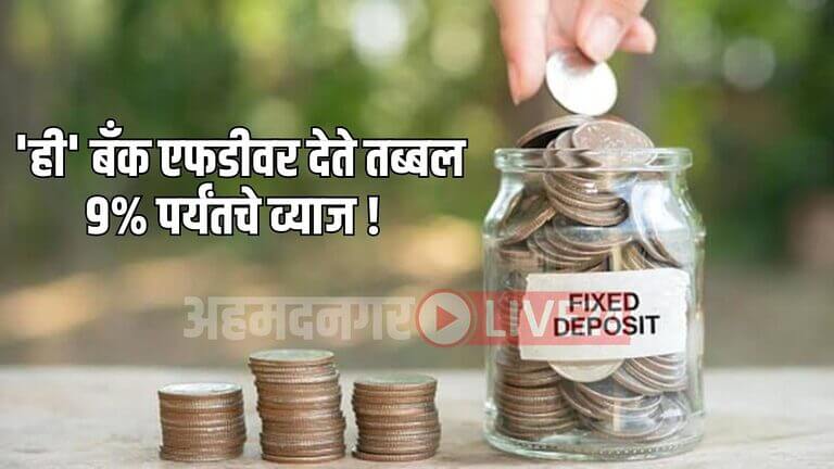 FD News