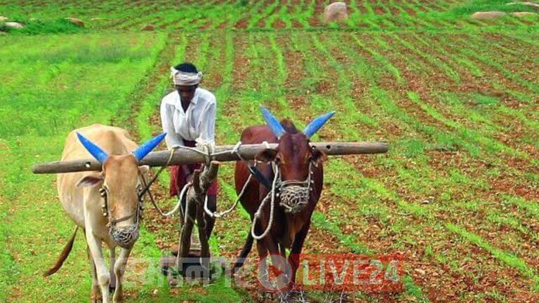 Maharashtra Farmer Scheme