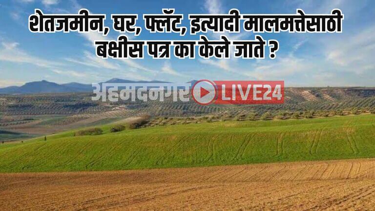 Jamin Bakshis Patra