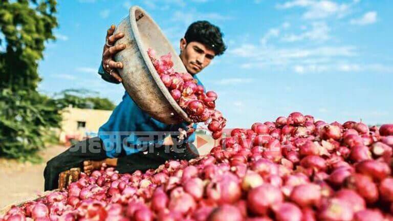 Maharashtra Onion Rate