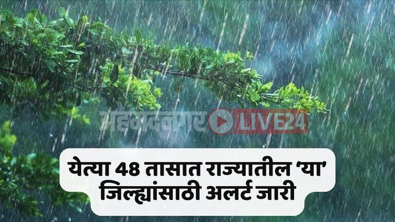Maharashtra Rain