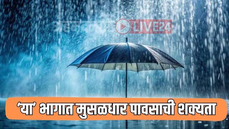 Rain Alert
