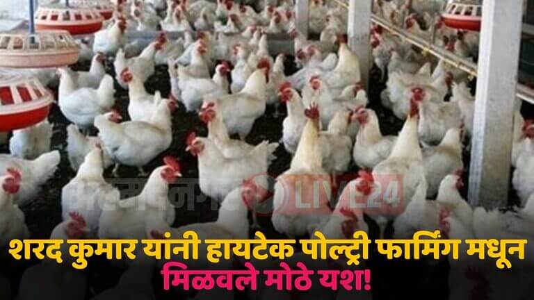 poultry farming buisness