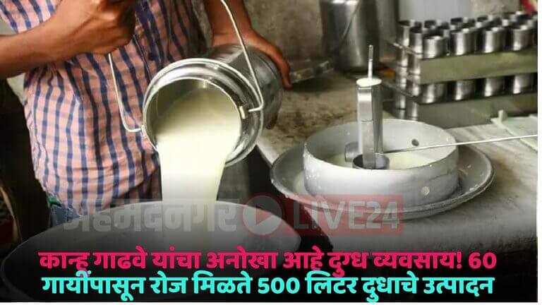 dairy business