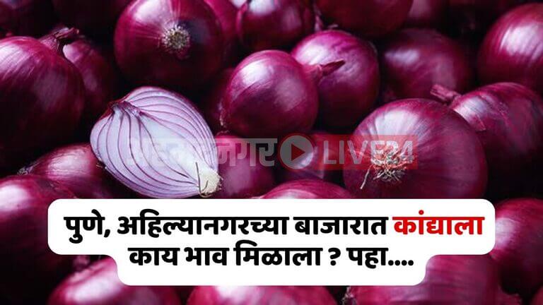 Onion Rate Maharashtra