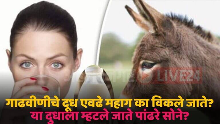 donkeys milk