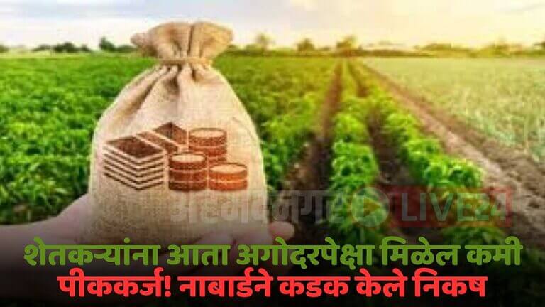 crop loan