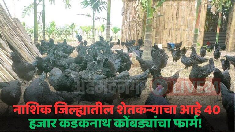 kadaknath poultry farming