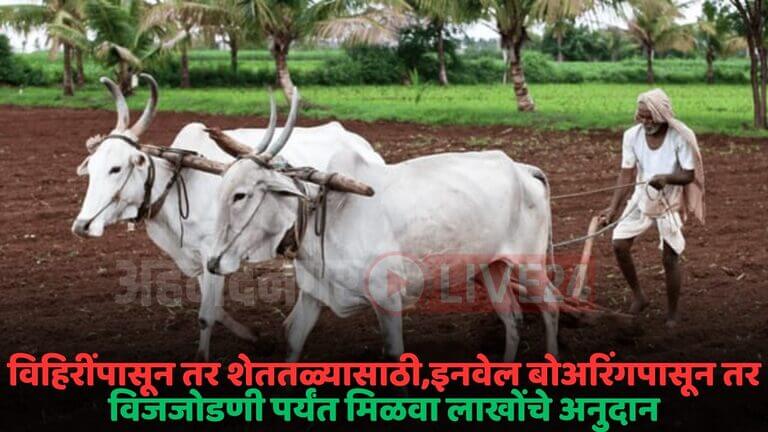 farmer scheme