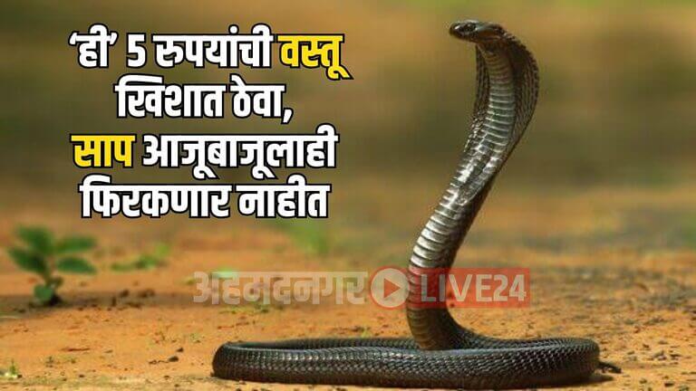 Snake Viral News