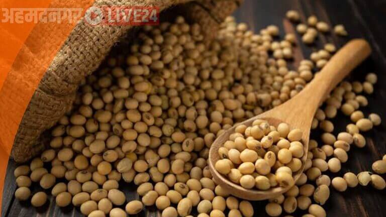 Soybean News