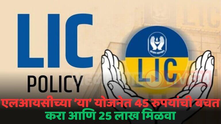 lic plan