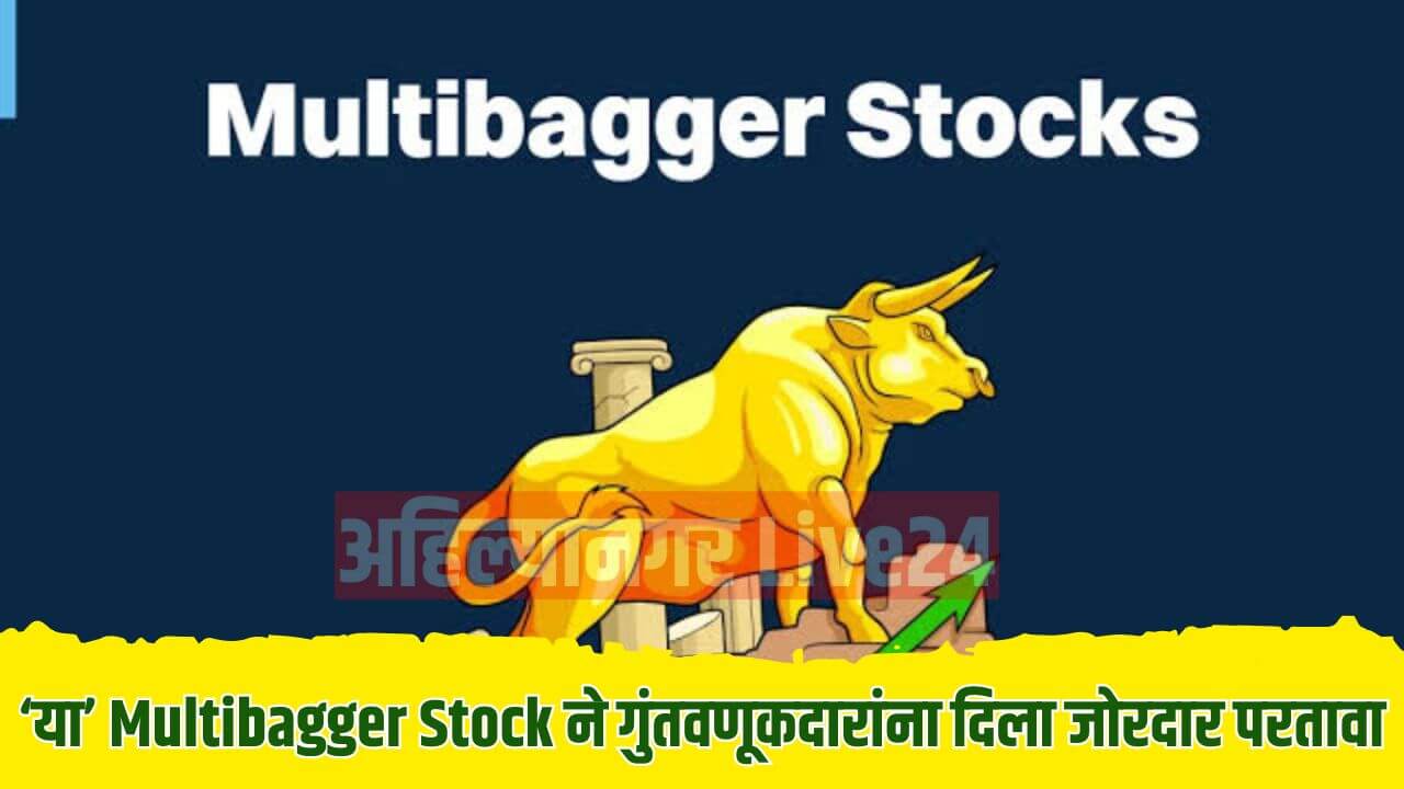 Multibagger Stock