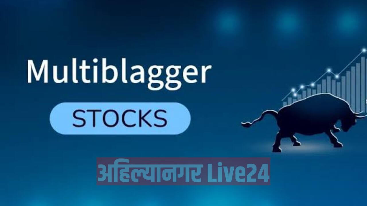 Multibagger Stock