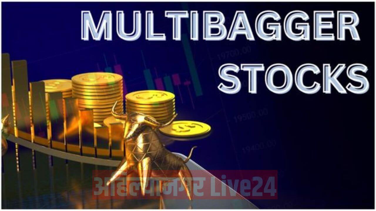 Multibagger Stock