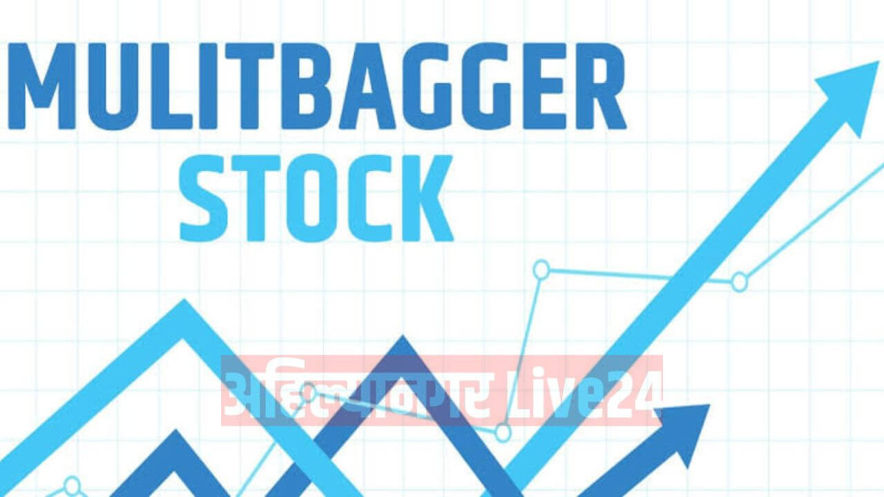 Multibagger Stock