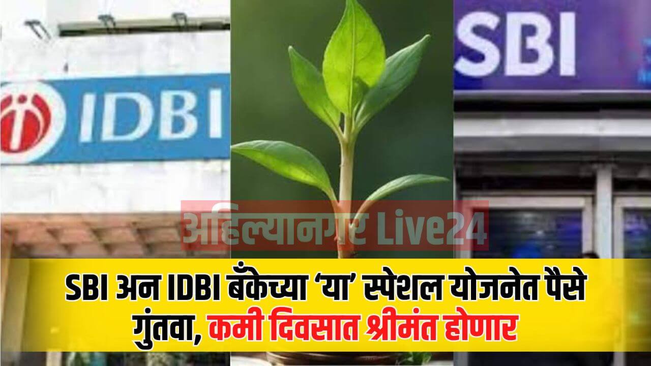 SBI And IDBI Bank Special FD