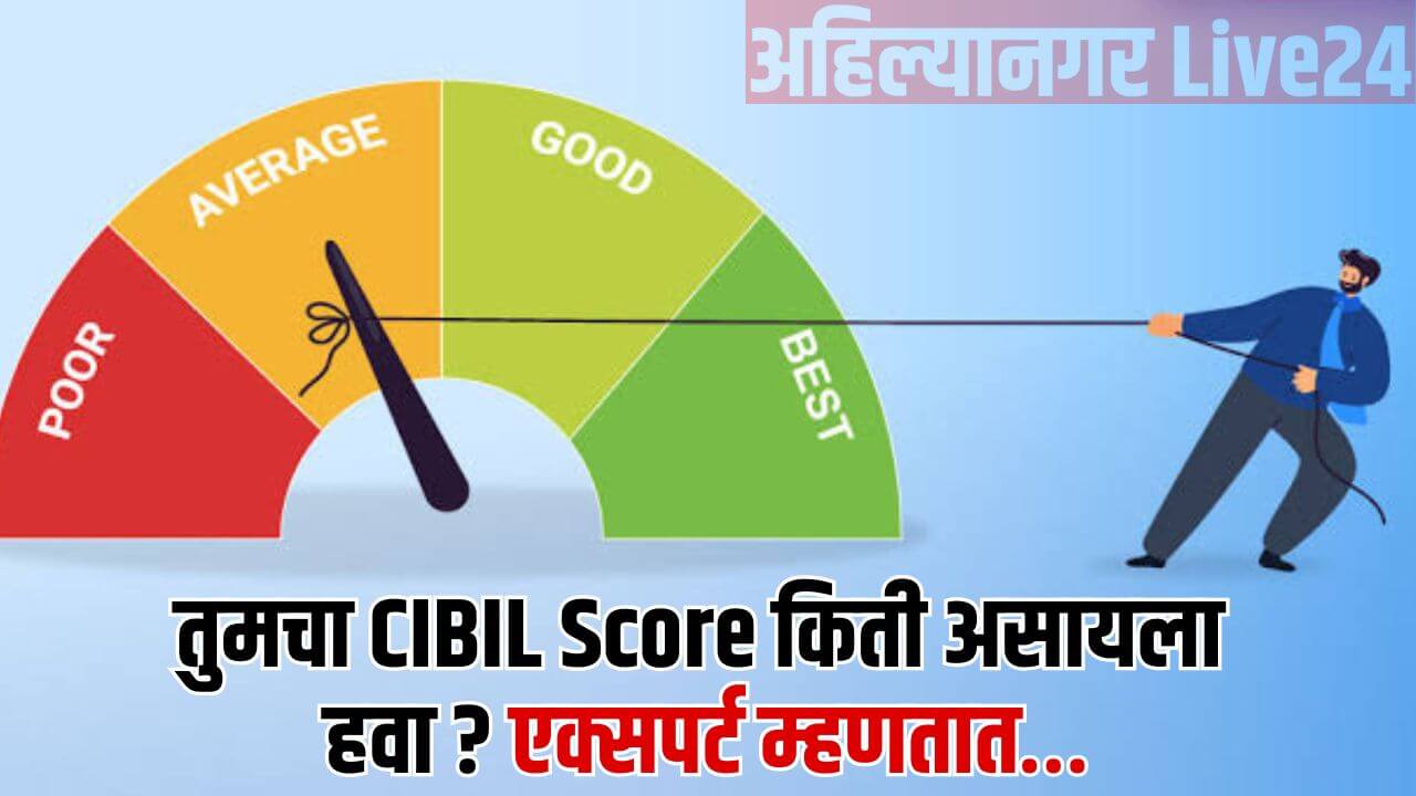 How To Check Cibil Score