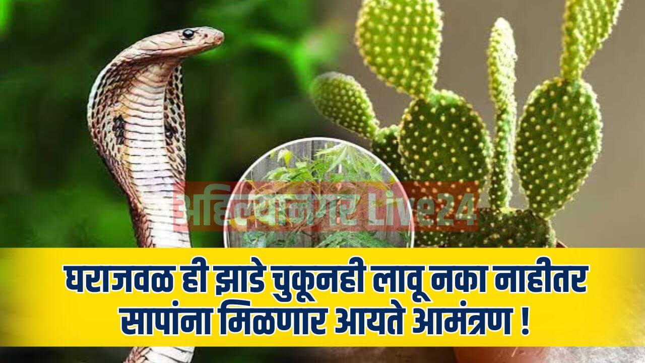 Snake Viral News