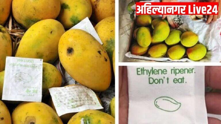 Hapus Mango