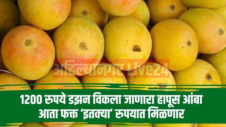 Hapus Mango New Rate