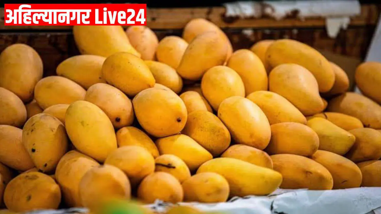 Mango Price