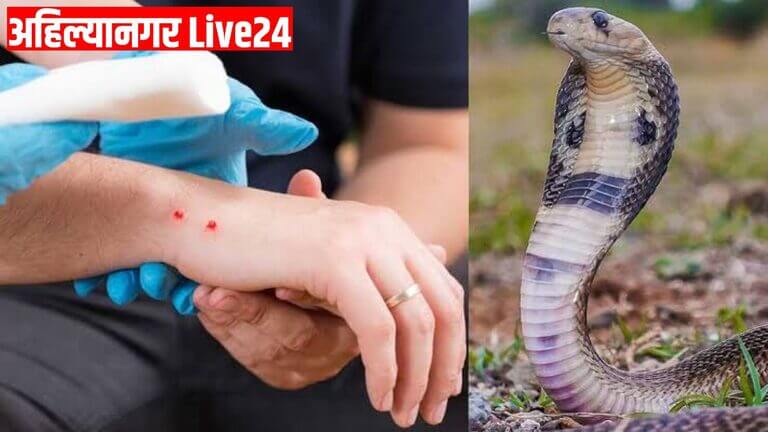 Snake Viral News