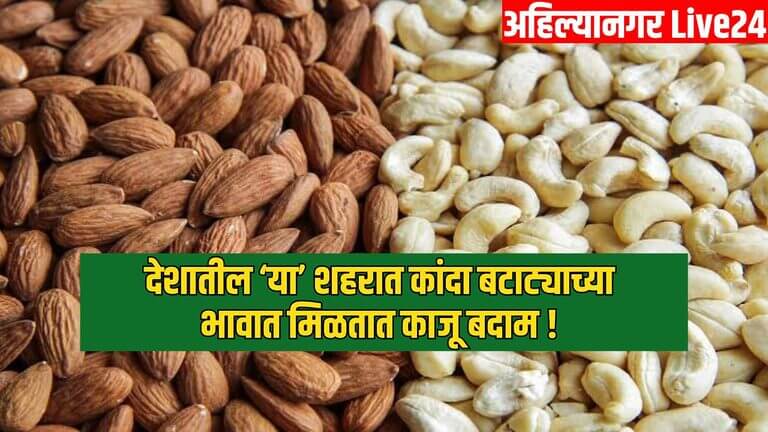 Cheapest Dry Fruit Market