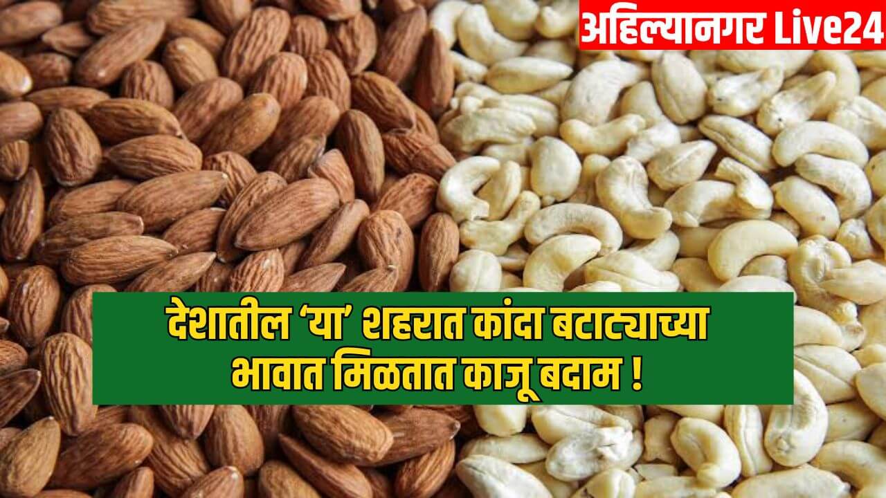 Cheapest Dry Fruit Market