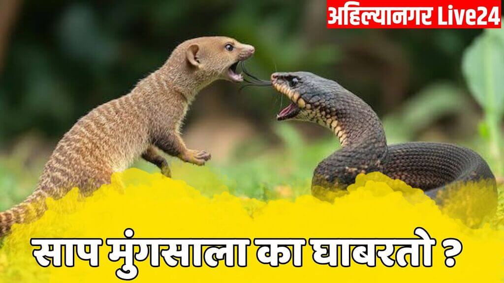 GK Marathi
