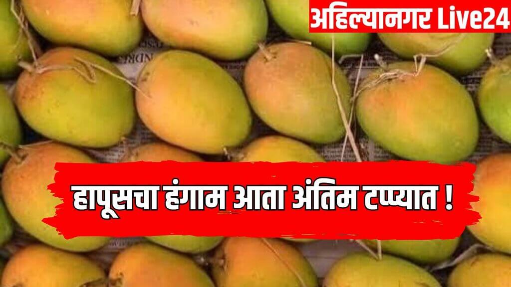 Hapus Mango Rate