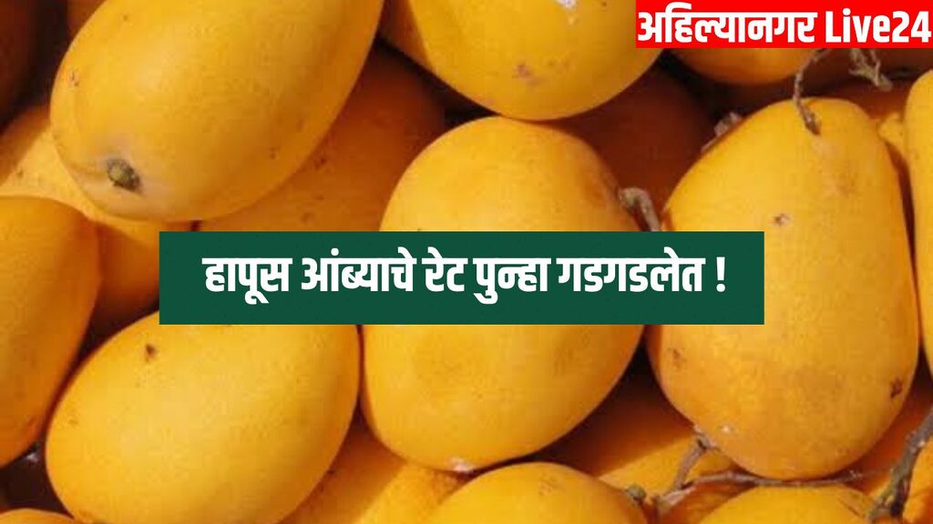 Mango Rate