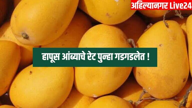 Mango Rate