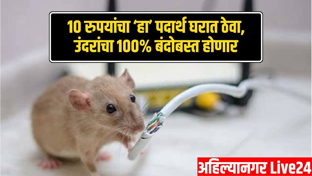 Rats Alum Remedies