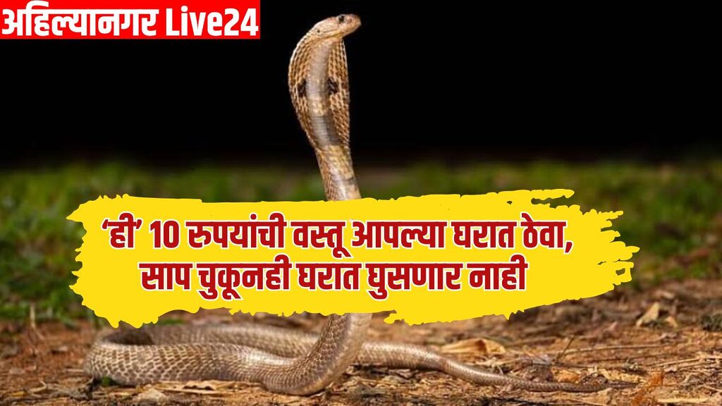 Snake Viral News