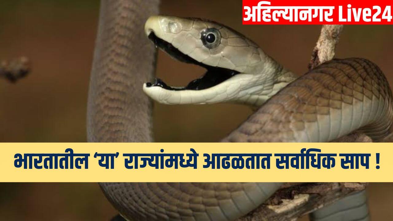 Snake Viral News