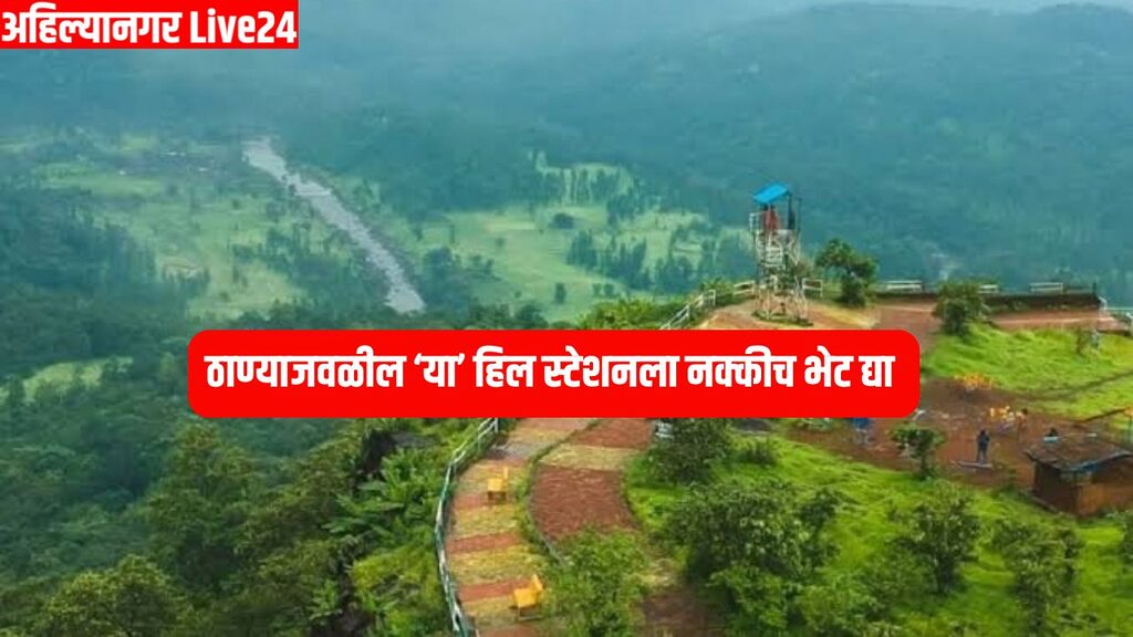 Picnic Spot
