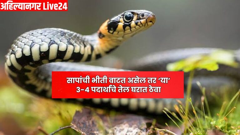 Snake Viral News