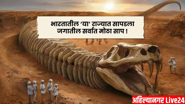 Worlds Largest Snake