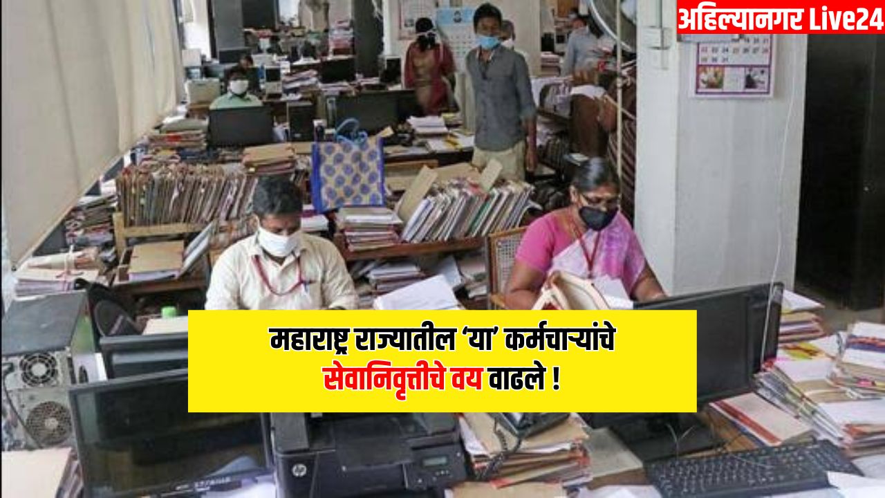 Government Employee