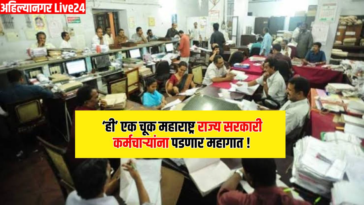 Government Employee
